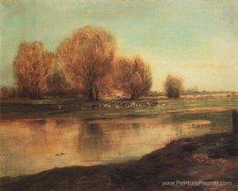 Saule par l'étang Saule par l'étang