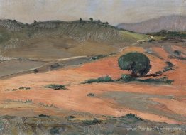 Kokkinaras Kokkinaras