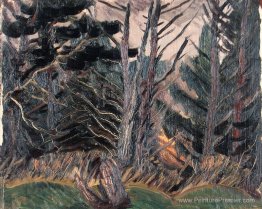 Arbres morts Arbres morts