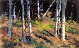 Où les arbres meurent Où les arbres meurent