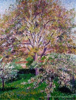 Noiure de mur et pommiers en fleurs à Eragny Noiure de mur et pommiers en fleurs à Eragny