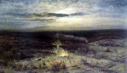 Nuit au clair de lune. le marais Nuit au clair de lune. le marais