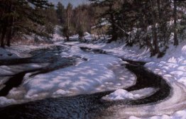 Dégel du printemps Dégel du printemps