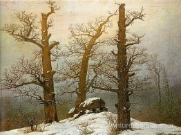 Lumière d'hiver Lumière d'hiver