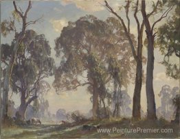 Bord de la clairière Bord de la clairière