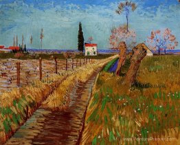 Chemin à travers un champ avec des saules Chemin à travers un champ avec des saules