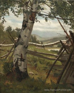 Paysage d'été avec bouleau Paysage d'été avec bouleau