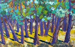 Une forêt dense Une forêt dense