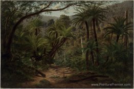 Fertree Gully dans les gammes de dandenong Fertree Gully dans les gammes de dandenong