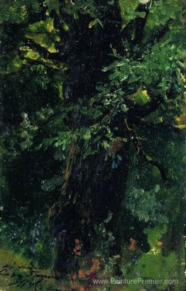 Trunk en chêne au début de l'été Trunk en chêne au début de l'été