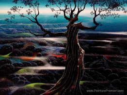 Vallée sauvage Vallée sauvage