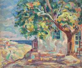 La maison avec un arbre Linden de Balcic La maison avec un arbre Linden de Balcic