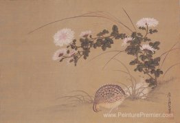 Caille et chrysanthemums Caille et chrysanthemums