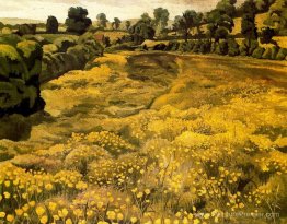 Botticules dans une prairie Botticules dans une prairie