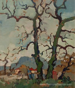 Bare Oaks, Newlands, fin automne Bare Oaks, Newlands, fin automne