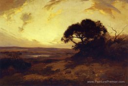 Soirée d'or, sud-ouest du Texas Soirée d'or, sud-ouest du Texas