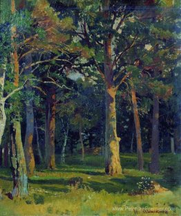 Forêt, pin Forêt, pin