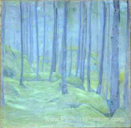 Brume dans la forêt Brume dans la forêt