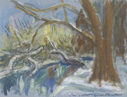 FLEVO-Park en hiver, Amsterdam FLEVO-Park en hiver, Amsterdam