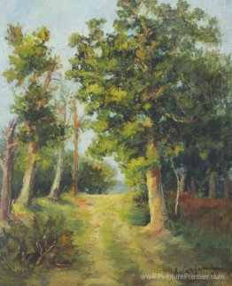 Mogoșoaia Path Forest Mogoșoaia Path Forest