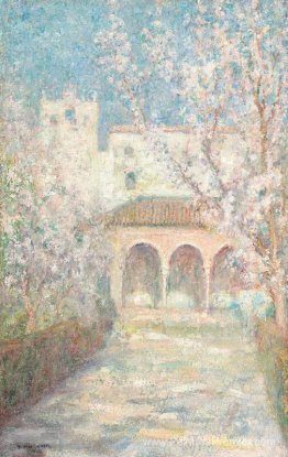 Patio la Siviglia Patio la Siviglia