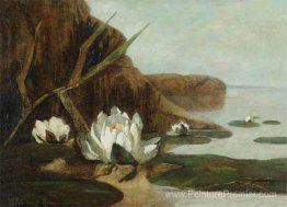 Nénuphars Nénuphars