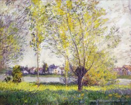Les saules Les saules