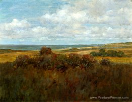 Paysage de shinnecock Paysage de shinnecock