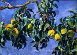 Pêches sur les branches Pêches sur les branches