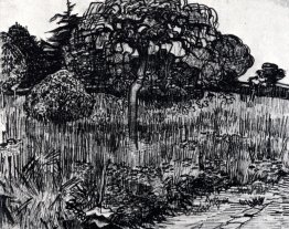Le parc à Arles Le parc à Arles