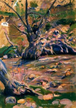 Rio Lozoya le passage par le Pauulaire Rio Lozoya le passage par le Pauulaire