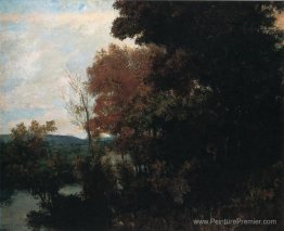 Le bord de la forêt Le bord de la forêt