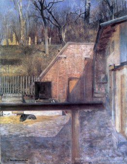 Cour dans le zoo Cour dans le zoo