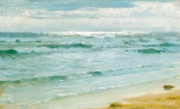 Mer à Skagen Mer à Skagen