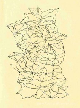 Graphomanie entopique Graphomanie entopique
