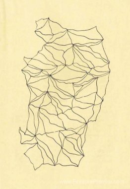 Graphomanie entopique Graphomanie entopique