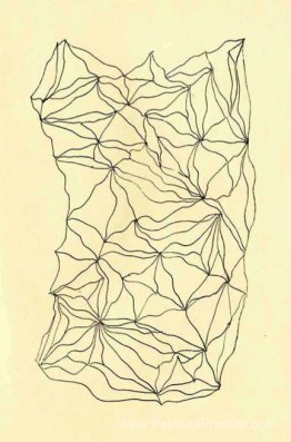 Graphomanie entopique Graphomanie entopique