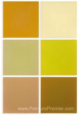 Chèvrefeuille d'hiver Chèvrefeuille d'hiver