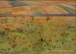 Coquelicots Coquelicots