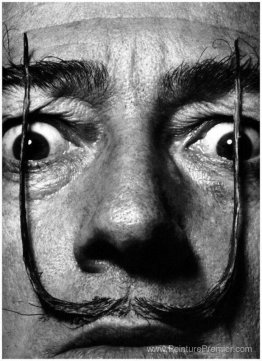 Salvador Dali Salvador Dali