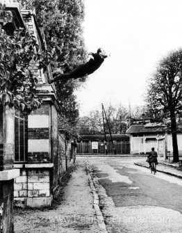 Sauter dans le vide Sauter dans le vide