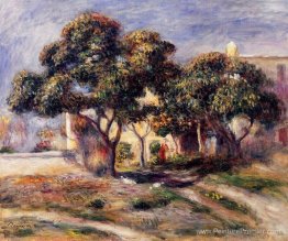 Arbres medlar, cagnes Arbres medlar, cagnes