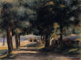 Pin sur le bois sur la Côte d'Azur Pin sur le bois sur la Côte d'Azur