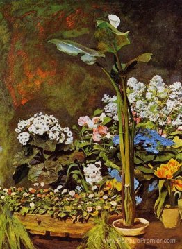 Arum et plantes de véranda Arum et plantes de véranda