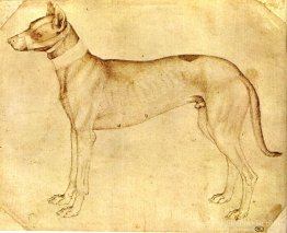 Chien Chien