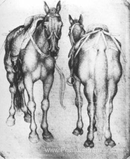 Les chevaux Les chevaux