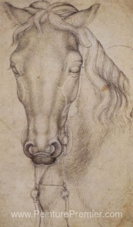 Étude de la tête d'un cheval Étude de la tête d'un cheval