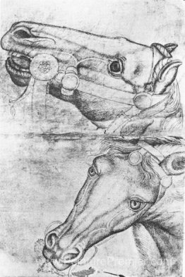 Étude des têtes de chevaux Étude des têtes de chevaux