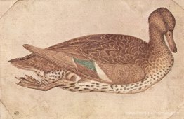 Canard Canard