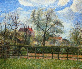 PEAR TRESS EN BLOOM, ERAGNY, Morning PEAR TRESS EN BLOOM, ERAGNY, Morning
